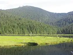 Malé Javorské jezero (Kleiner Arbersee)