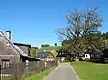 Klen v Albrechticích