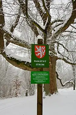 v lednu 2014