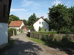 Klenové