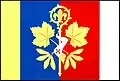 Vlajka obce Klenovice