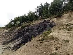Útesy