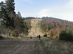 Klimczok v roce 2017