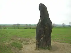 Klobuky CZ Zkamenely pastyr 093.jpg