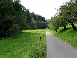 Údolí s loukami a lesy v PP Podloučky