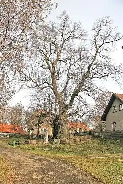 podzim 2006