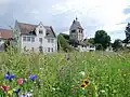 Reichenau, Mittelzell