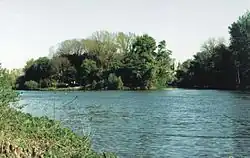 Labe a Kmochův ostrov v Kolíně