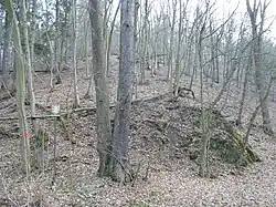 Kněžnice