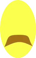 Knír