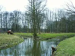Ústí Klášterní vody (vlevo) do Černého Halštrova