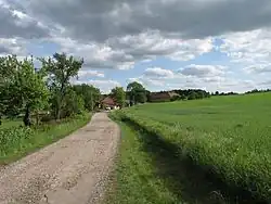 Cesta mezi domy