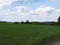 Pole