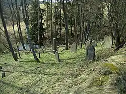 Kořen ŽH 04.JPG