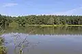 Borecký rybník