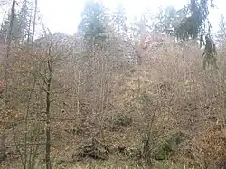 Kožlí 006.jpg