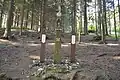 Horní Kochánov - umrlčí prkna z roku 1932 u samoty Sova, celkový pohled (2016)