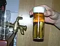 Čerstvě načepovaný kölsch