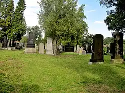 Židovský hřbitov