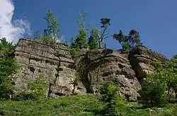 Pískovcové útvary v údolí Pšovky (2012)