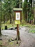 Studánka v plzeňských městských lesích