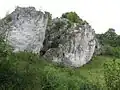 Kolíbky