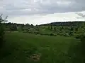 Kolvín