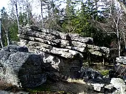 Koníček