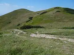 Koniarky vlevo