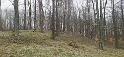 Kopánky