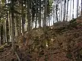 Pískovcové sesuvy