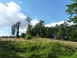 Kopeček, pohled asi 100 m od východu