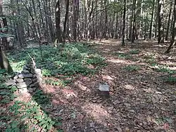 vrchol kopce