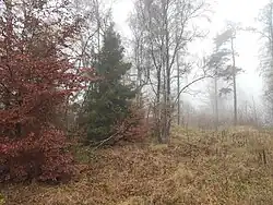 vrchol kopce