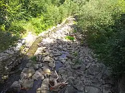 Kopytná, pohled z mostu ve Vendryni