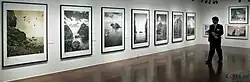 Korea Dokdo Photo Exhibition, Soul, 2014
