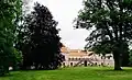 Tis červeny, zámecký park Koryčany