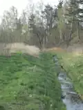 Korzeniówka – řeka tekoucí Szydłowcem