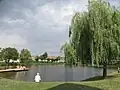 Léto u rybníka v centru obce