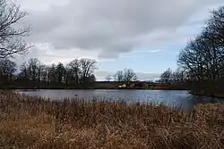 Kotýřinský rybník