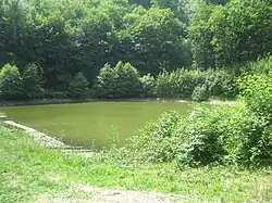 Kotelní rybník