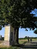 Kouty - výklenková kaplička jižně od vsi.JPG