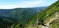 Panorama u Staré Bucharovy cesty