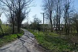 Cesta