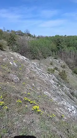Skalní amfiteátr lokality Kozince v Týnčanském krasu
