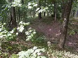 Zbytky hradu Kozlov