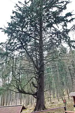 v březnu 2016