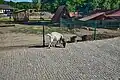 Zookoutek