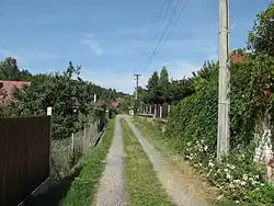 Cesta ve vsi Krámský