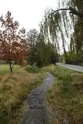 Potok